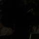 KRXXSHED